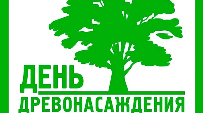 dendrevonsazhdeniya