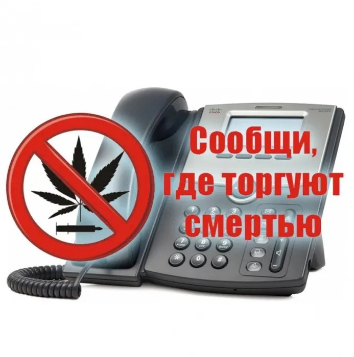 IMG-20210316-WA0012
